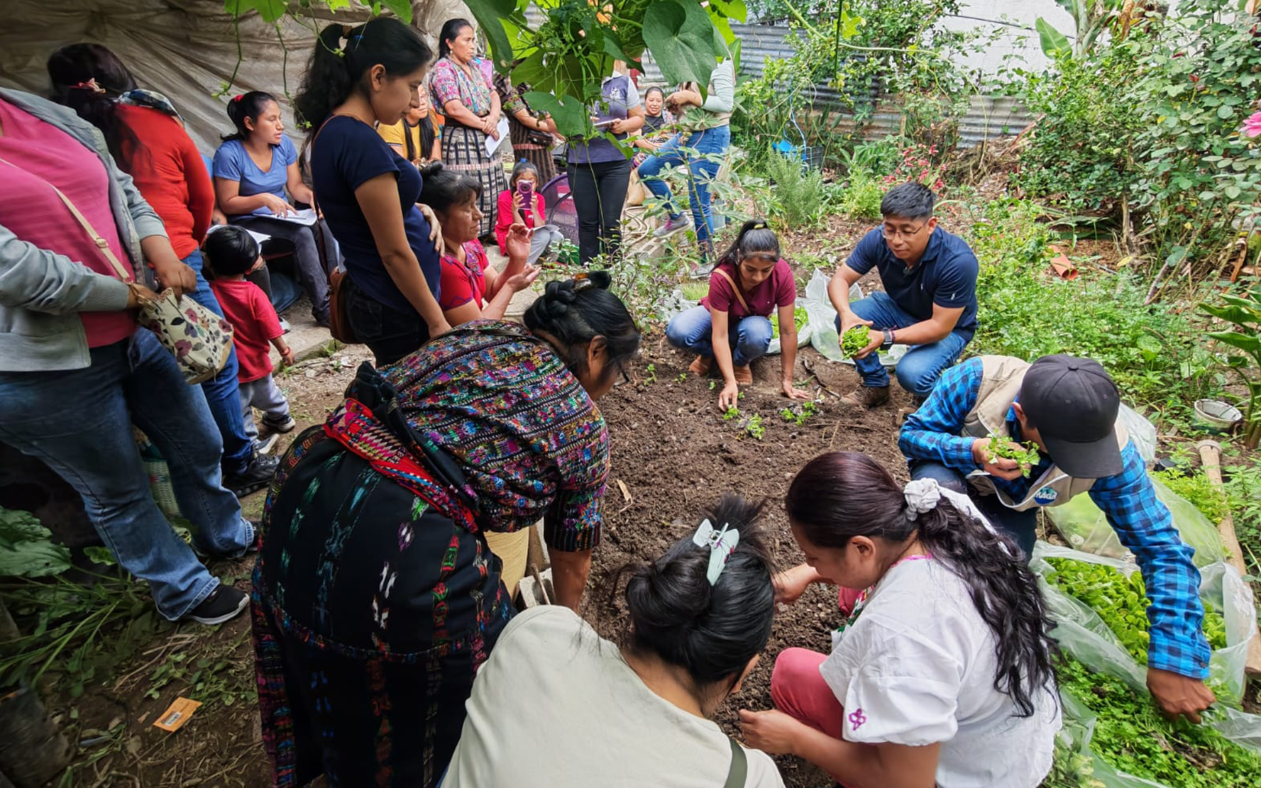 En este momento estás viendo PAMI implementa 20 huertos familiares para mejorar la nutrición infantil en Panajachel, Sololá